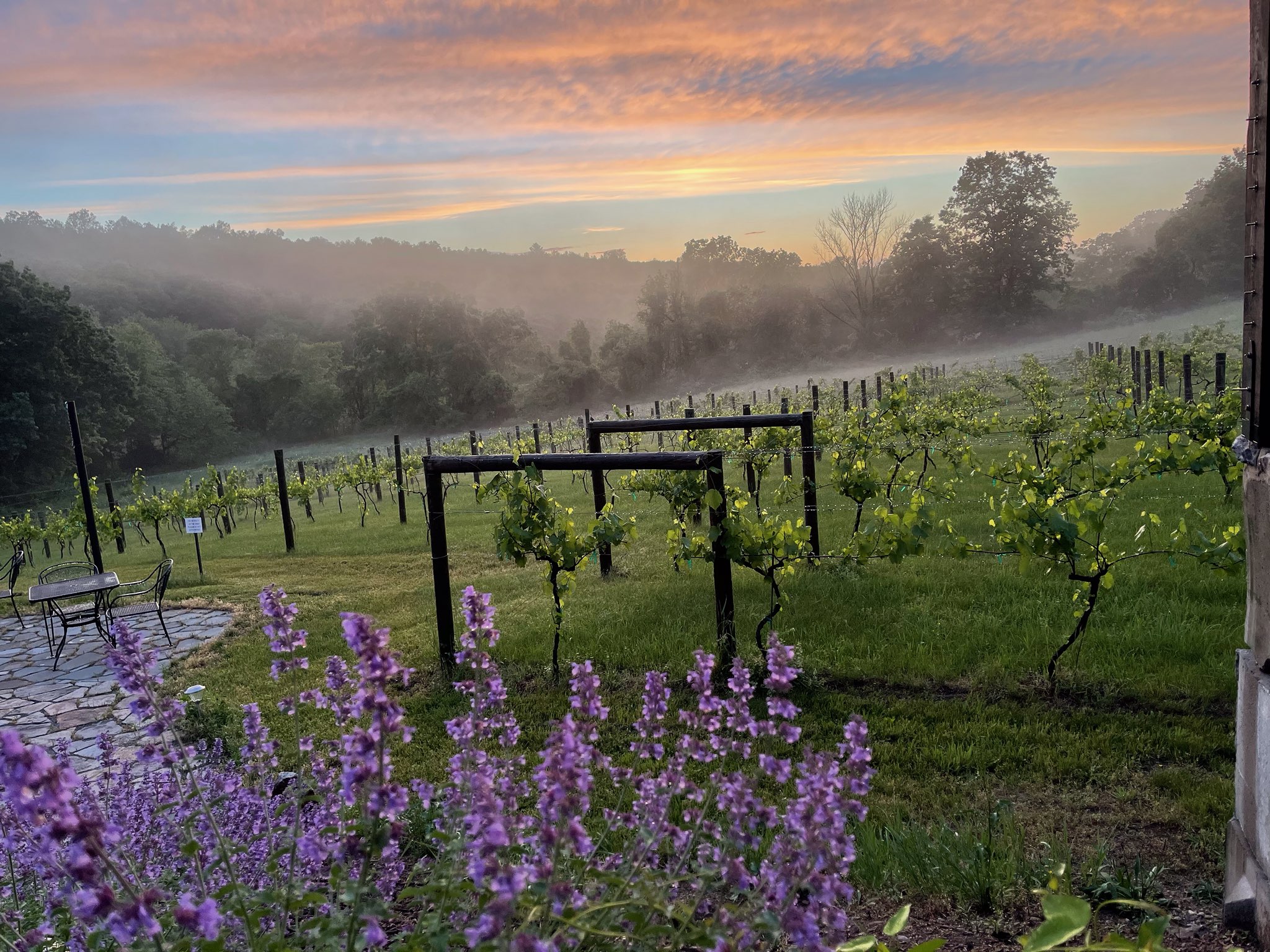 Instagrammable Vineyards | Visit CT